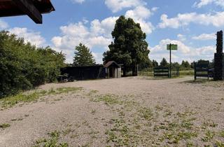 Gewerbeimmobilie mieten in 09599 Freiberg, Perfekte Basis für Ihr Gewerbe – Betriebshof mit Werkstatt und Freifläche