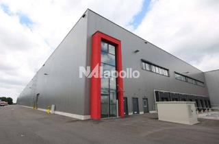 Büro zu mieten in 64653 Lorsch, Lagerhalle mit Büroflächen | ca. 1.000 m² Halle | ca. 300 m² Büro | Ebenerdige Tore