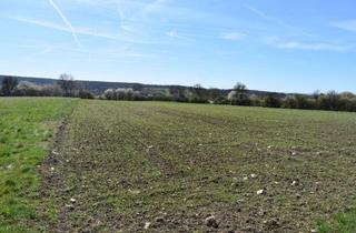 Anlageobjekt in 37077 Göttingen, 3,98ha gut gelegens Ackerland/Grünland - Preis VB