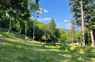 Grundstück zu kaufen in 38667 Bad Harzburg, LINDENPARK BAD HARZBURG – Ein außergewöhnliches Refugium direkt am Nationalpark Harz