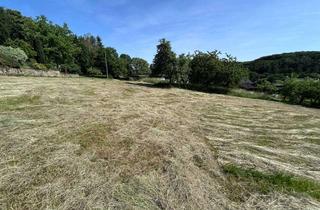 Grundstück zu kaufen in 55758 Oberhosenbach, Wohnen mit Pferden – Baugrundstück mit angrenzender Weide