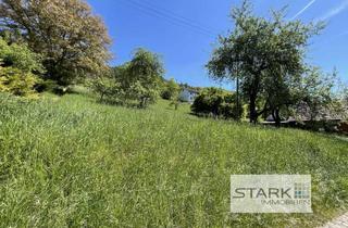 Grundstück zu kaufen in 97947 Grünsfeld, Bezahlbares Bauland! Sonniges Grundstück auf dem Land in Grünsfeld-Hausen