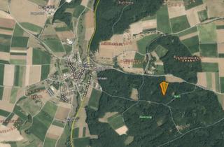 Gewerbeimmobilie kaufen in 91805 Polsingen, Waldgrundstück in Ursheim – Flurnummer 1197