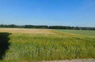 Gewerbeimmobilie kaufen in Auwiesenstraße, 86517 Wehringen, Landwirtschaftliches Grundstück in Wehringen