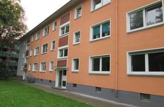 Wohnung mieten in Paul-Esch-Str., 47053 Hochfeld, Willkommen Zuhause: 3-Zimmer-Stadtwohnung mit Balkon