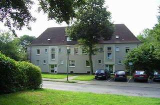 Wohnung mieten in Angelikastraße, 44809 Hofstede, 2 Zimmer Wohnung in Bochum Grumme