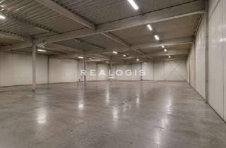 Büro zu mieten in 18299 Laage, Kritzkow, ca. 1.000 m² moderne Lagerfläche mit Bürofläche zu vermieten
