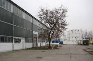 Gewerbeimmobilie mieten in Plauener Straße 160, 13053 Alt-Hohenschönhausen, Betonierte Freilagerflächen in Hohenschönhausen
