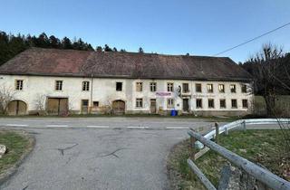 Gewerbeimmobilie kaufen in 79837 St. Blasien, TRADITIONSGASTHAUS IM DORNRÖSCHENSCHLAF