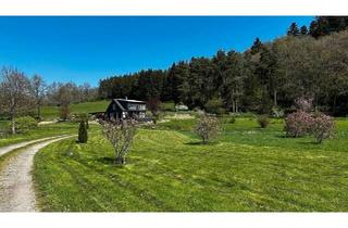 Einfamilienhaus kaufen in 55469 Simmern, Simmern/Hunsrück - Einfamilienhaus in Alleinlage - Energie A - ehem. Mühle - 4,5 ha