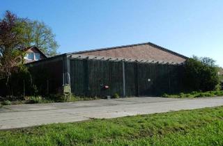 Einfamilienhaus kaufen in 38387 Söllingen, Söllingen - Resthof mit Naturgarten