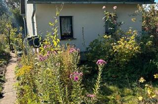 Haus kaufen in 18059 Papendorf, Papendorf - Verkaufe Gartenhaus massiv