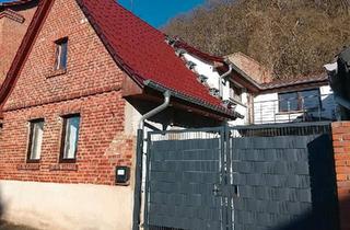 Einfamilienhaus kaufen in 06667 Weißenfels, Weißenfels - Einfamilienhaus in Leißling