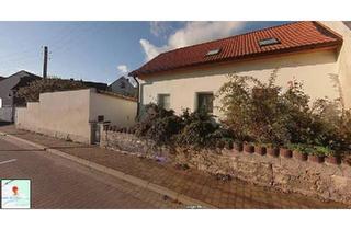 Einfamilienhaus kaufen in 06242 Braunsbedra, Braunsbedra - Haus 90 m² mit 1064 m² großem Grundstück in Braunsbedra