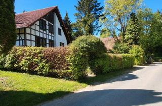 Mehrfamilienhaus kaufen in 32361 Preußisch Oldendorf, Preußisch Oldendorf - Traditionelles Mehrfamilienhaus in Bad Holzhausen