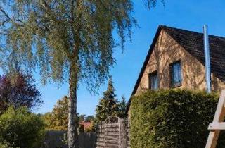 Einfamilienhaus kaufen in 31303 Burgdorf, Burgdorf - Provisionsfrei: Familienhaus in Ehlershausen, 7 Zimmer + 3 Bäder!