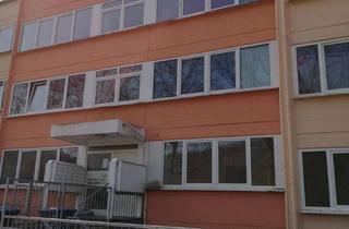 Wohnung mieten in 54295 Kürenz, Helles Appartement in guter Lage