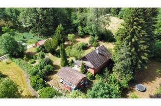 Haus kaufen in 89180 Berghülen, +BERGHÜLEN+ Naturparadies auf 1.831 m² Grundstück – mit gepflegten und modernisierten Ferienhaus