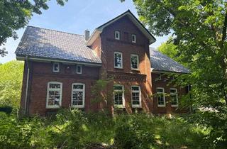 Haus kaufen in 25764 Wesselburener Deichhausen, Wesselburener Deichhausen: Resthof mit zwei Einliegerwohnungen in idyllischer Lage