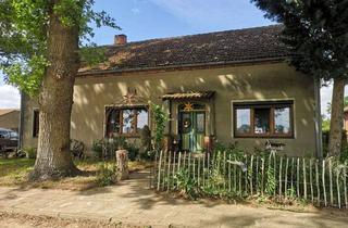 Einfamilienhaus kaufen in 19303 Vielank, Einfamilienhaus mit viel Nebengelass sucht neue Besitzer