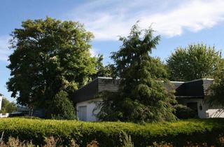 Haus kaufen in 65719 Hofheim am Taunus, Sonniges Grundstück in ruhiger Ortsrandlage: Wohnen für Individualisten v Kreative