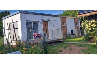 Haus mieten in Hauptstraße 67a, 97849 Roden, charmantes Tiny-Haus mit 2 Zimmern in Roden im Grünen