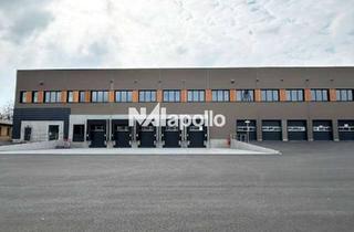 Gewerbeimmobilie mieten in 65451 Kelsterbach, ca. 4.000 m² Lagerhalle in Kelsterbach | ab sofort | Rampen !