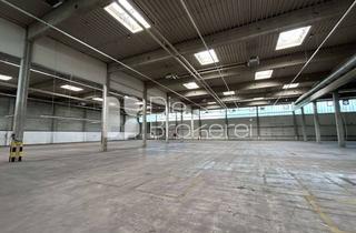 Gewerbeimmobilie mieten in 74360 Ilsfeld, Ilsfeld | ca. 10.800 m² Logistik | sofort verfügbar - provisionsfrei