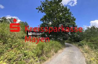 Anlageobjekt in 56746 Kempenich, Nähe Nürburgring. Wohnanwesen auf fast 6.000m² Areal.