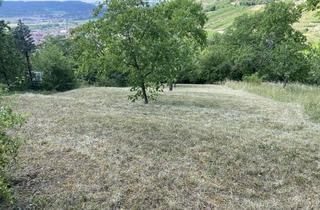 Grundstück zu kaufen in 72070 Tübingen, Freizeitgrundstück mit traumhaftem Ausblick in Tübingen Unterjesingen