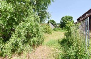 Grundstück zu kaufen in 38329 Wittmar, Grundstück mit Potential - 1.482m² Bauland!