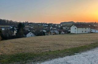 Grundstück zu kaufen in Am Alten Wirtsfeld, 36119 Neuhof, 3.500 m² Baugrundstück – teilbar ab 600 m²