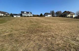 Grundstück zu kaufen in Am Alten Wirtsfeld, 36119 Neuhof, Ganzes Grundstück 3.500 m² oder doch lieber 600 m²?