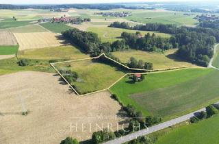 Gewerbeimmobilie kaufen in 85560 Ebersberg, Weideland in Ebersberg mit 14.212 m² Fläche, zwei Weiher, ein Bach - ideal für Pferde und Schafe