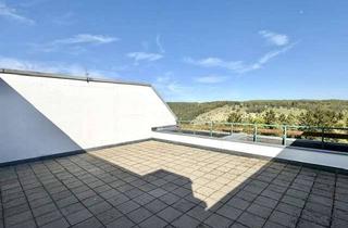 Penthouse kaufen in 93339 Riedenburg, Penthouse-Wohnung 140 m² mit Panoramadachterrasse und Hausinternem Schwimmbad