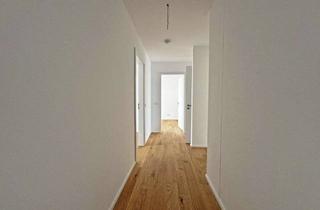Wohnung mieten in Rotfuchsstraße 1B, 90427 Boxdorf, Exklusive 3-Zimmer-Neubauwohnung mit Südost-Balkon und Feldblick