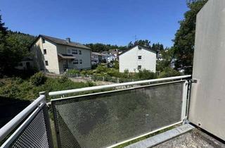 Wohnung mieten in 92637 Fichtenbühl, Gemütliches Apartment mit EBK und Balkon ** Top**