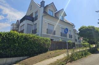 Wohnung mieten in Hindenburgerstraße 11, 86356 Neusäß, Schöne helle 2-Zimmer Wohnung mit großer Dachterrasse in Neusäß/Westheim