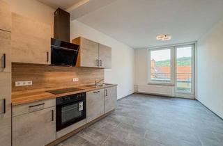 Wohnung mieten in Mühlwehrstraße 16, 97980 Bad Mergentheim, Erstbezug 2,5 Zimmer Wohnung mit EBK, Balkon, Badewanne, Stellplatz in der Innenstadt
