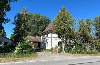 Haus kaufen in 94522 Wallersdorf, Gelegenheit! Idyllischer Vierseithof Alleinlage, vielseitiges Anwesen m.gr. Grundstück b.Wallersdorf