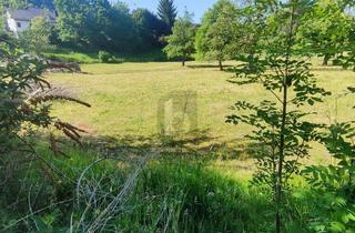 Grundstück zu kaufen in 88481 Balzheim, RUHIG GELEGEN MIT FREIER BAUGESTALTUNG