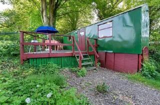 Haus kaufen in 24358 Ascheffel, Ascheffel - grünes Tinyhaus