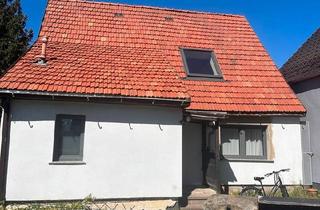 Einfamilienhaus kaufen in 04860 Torgau, Torgau - Modern saniertes Einfamilienhaus
