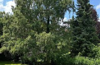 Wohnung kaufen in Fuhlsbüttler Straße, 22337 Hamburg, Hamburg - Helle 2,5 Zimmer Wohnung in Stadtpark-Nähe