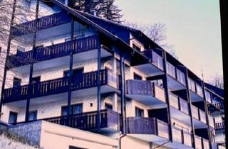 Wohnung kaufen in 77740 Bad Peterstal-Griesbach, Bad Peterstal-Griesbach - Eigentumswohnung
