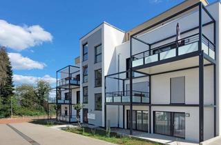 Wohnung kaufen in 69256 Mauer, Neubau-Erstbezug! Hochwertige, barrierefreie 3-Zi.-Erdgeschosswohnung mit Aufzug u. Balkon in Mauer
