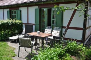 Wohnung kaufen in 18556 Dranske, Top-Strandlage: Modernes Studio mit eigener großzügiger Terrasse im Grünen