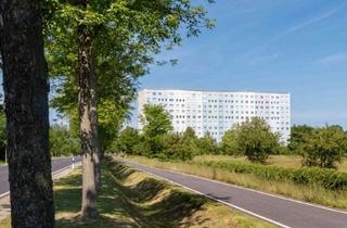 Wohnung mieten in Albert-Schweitzer-Straße, 02977 Zeißig, Geräumige 3-Raum-Wohnung mit Wanne, Dusche und Balkon