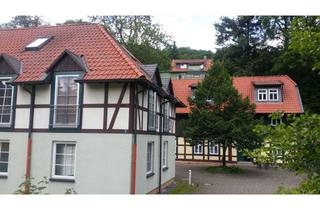 Wohnung mieten in Wilhelm-Pramme-Str., 38855 Wernigerode, Gepflegte 2-Zimmer-Wohnung (0.01) in der "Alten Mühle"