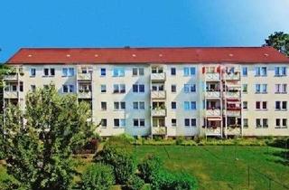 Wohnung mieten in Rotdornweg 10, 08060 Marienthal, Ideale Wohnung für das kleine Budget
